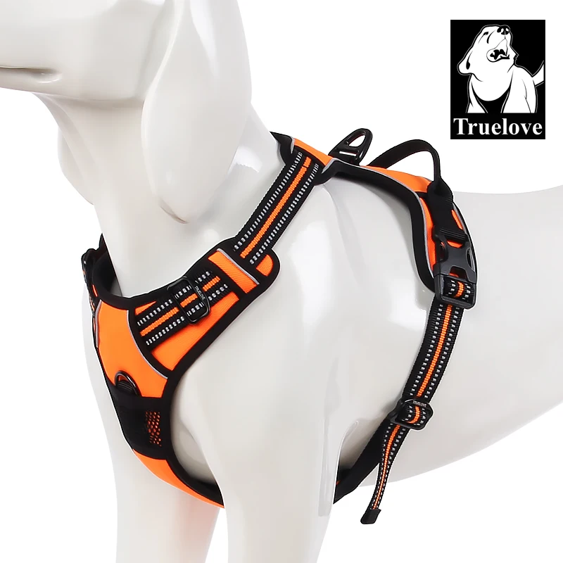 TLH5651-Orange (1)