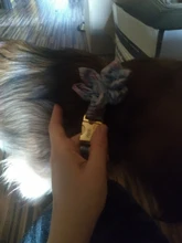 Dog-Accessories Collars Engraved Pet-Puppy Printed Custom Personalized Fashion Nylon