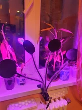 Grow-Light Lamps Timer Flowers Desktop-Clip LED Phyto Full-Spectrum For Plants DC5V USB