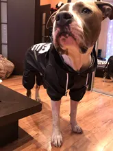 Jacket Rain-Coat Labrador Alaska Puppy-Doberman Waterproof Dogs Large Medium Husky TLC02