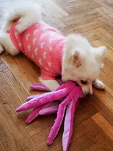 Juguete de peluche suave con 8 patas de pulpo para perros, juguete interactivo para jugar al aire libre, con sonido sonoro, juguete dental para masticar