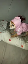 Adidog-ropa para perros pequeños, chaqueta con capucha deportiva de invierno, suéter de algodón suave abrigado puro, Chihuahua de peluche, ropa para cachorros