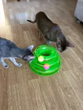 Three-Levels Tower-Tracks-Disc Ball Cat-Toys Interactive-Training-Amusement-Plate Cat-Intelligence