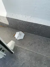 Tope de puerta de silicona silenciosa sin perforación, tapón de absorción de pared para inodoro, soporte de puerta antigolpes, tope de puerta de engranaje de resistencia