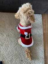 Costume Jackets Yorkie-Outfit Cat-Clothing Puppy Small Dogs Coat Hooded Pet-Dog Winter Dog