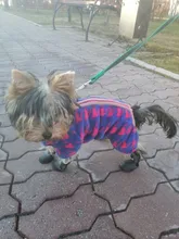 Zapatos para mascota de perro de lluvia, 4 unidades/lote S/M/L, botines de goma antideslizantes, impermeables, para perros y gatos