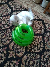 Three-Levels Tower-Tracks-Disc Ball Cat-Toys Interactive-Training-Amusement-Plate Cat-Intelligence