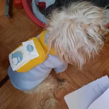 Overalls Sweaters Jacket Pet-Costume Yorkies Dogs Coat Small 