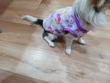 Clothing Puppy-Vest Dog-Coat Pet-Cat-Clothes French-Bulldog Small Dogs Chihuahua Winter