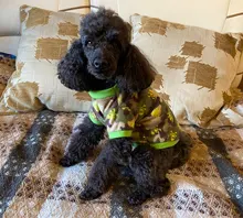 De lana caliente ropa de perro mascota lindo cráneo impreso Pet cachorro camisa para perros chaqueta Bulldog francés Jersey camuflaje perro ropa