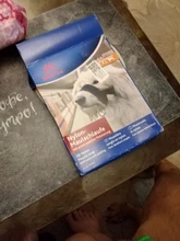 Correa de cuello de cabeza acolchada para perro, herramienta de entrenamiento para dejar de tirar