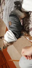 Pet-Dog-Clothes Jackets Coat Pets-Products Puppy-Cat-Clothing Pug-Outfits Small Dogs
