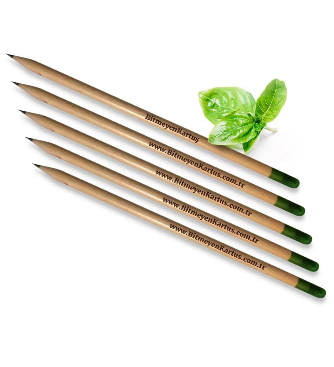 Personalized Basil Seed Green Pencil (100 Pcs) Reliable Quality Cost Effective School Pen Stationery Multi afbeelding