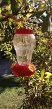 Alimentador de plástico para aves, botella colgante, alimentador de colibrí para jardín, gancho de hierro para flores de plástico, suministros para pájaros