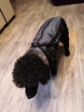 Vest Jacket Dogs-Harness Dog Coat Reflective Waterproof Outfit Large Thick with Fur-Collar