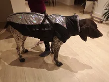 Pet-Dog-Clothes Clothing Walking-Harness Dogs Outdoor Waterproof Large Winter Medium