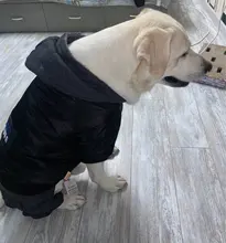 Dog-Coat Winter HOOPET for Dogs Clothing Warm Christmas Big