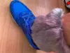 Изображение товара 5