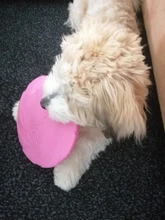 Mordedores de juguete para perros, discos voladores interactivos de goma suave, resistente a mordeduras, productos para entrenamiento de mascotas, 1 unidad