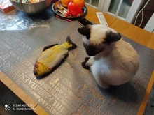 Pet-Cat-Toy Simulation-Fish-Toys Cat-Supplies Catnip Electronic Playing Dog-Cat-Chewing