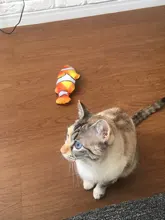 Pet-Cat-Toy Simulation-Fish-Toys Cat-Supplies Catnip Electronic Playing Dog-Cat-Chewing