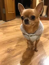 Jacket Pet-Coat French-Bulldog For Chihuahua Puppy-Vest Warm Dog Mascotas Winter Small