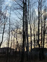 Women's Wild-Jacket Turn-Down-Collar Spring Zipper Black Fashion EAM High-Quality Loose