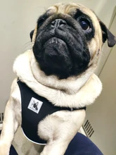 Arnés de perrito arneses de perro mascota reflectante para perros Bulldog francés Chihuahua ajustable perro de Seguridad entrenamiento chaleco para andar sin tirones