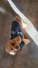 Ropa de invierno para mascotas, atuendo con chaleco cálido para perros pequeños, abrigo para perro, Chihuahua acolchado, a prueba de viento, 20