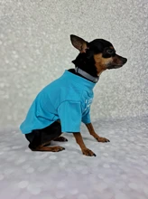 Letras de moda impreso Bulldog francés Camisa de algodón elástico ropa de perro mascota para Yorkshire Chihuahua verano bombero esposa camiseta bombero novia fuego emblema bombero Don bombero Cruz de traje