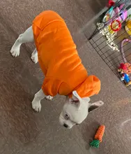 Ropa de abrigo para perros pequeños, abrigo para perros, ropa para cachorros, sudaderas con capucha para perros grandes, Chihuahua, novedad
