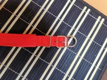 Leash Rope Pet-Collar Wholesale Lined Pet-Supplies Colorful New TECHOME Polypropylene