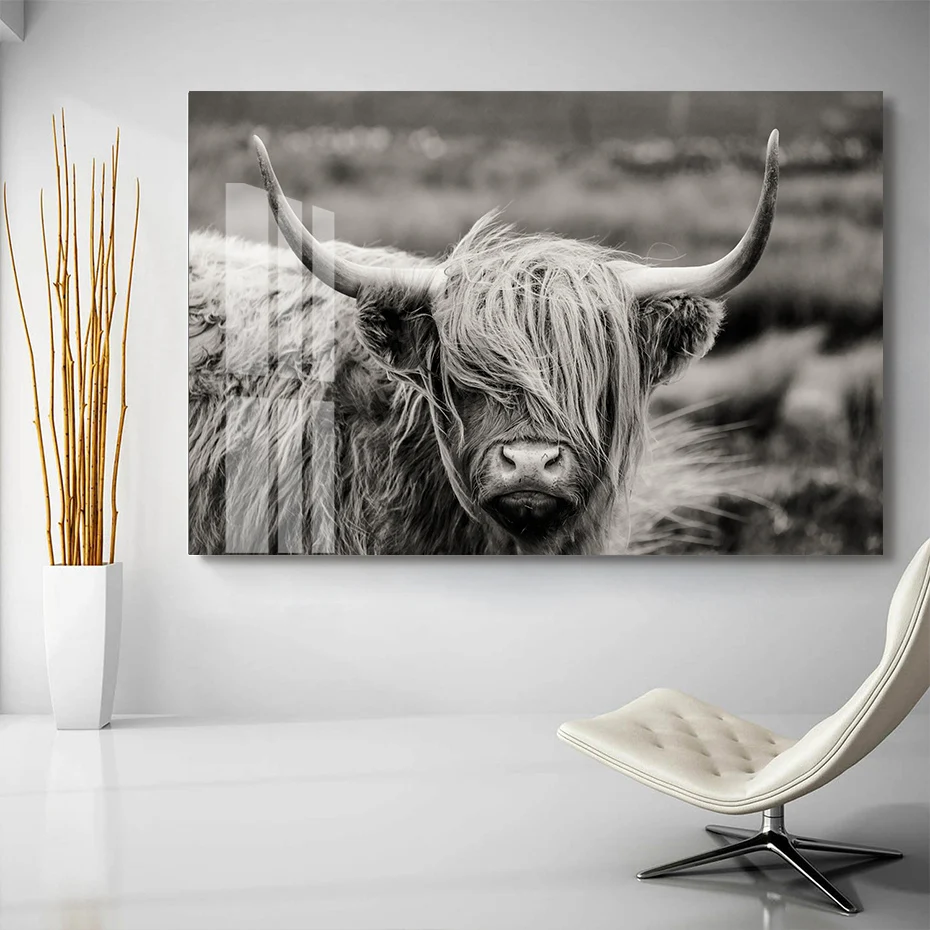 Scottish Highland Catt Cow Yak Animal Poster Wall Art Canvas Paintings Prints Pictures on Canvas for Living Room Home Decorative