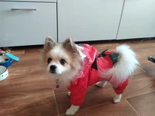 Raincoat Chihuahua Waterproof Summer Puppy Dogs Reflective for Small Nylon Ropa Perro