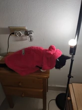 Ropa de Gato caliente para mascotas, abrigo, chaqueta para perros pequeños, medianos, gatos, Chihuahua, ropa de Yorkshire, disfraz rosa, S-2XL