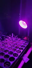 Phyto-Lamp Plant Light Grow-Bulb GU10 Canling Indoor Hydroponics Full-Spectrum 220V E27