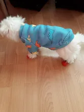 Socks Dog-Shoes Paw-Protector Chihuahua-Boots Puppy Small Dogs Winter Anti-Slip for Indoor-Wear