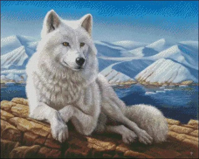 Embroidery Counted Cross Stitch Kits Needlework - Crafts 14 ct DMC DIY Arts Handmade Decor - White Wolf 2