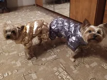 Ropa de abrigo para Perros Bulldog Francés, Ropa de cachorro, Chihuahua, yorkie, abrigo de perrito mascota, chaqueta, perros, mascotas