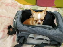 Pet-Backpack Carrier-Bag Transport Travel Airline-Approved Pet-Dog Cats Breathable 