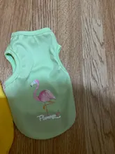 Sweater Clothing Velvet Winter Pet-Dog Cute Autumn Red Black Polyester Comfortable Warm