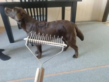 Pet-Comb Dog-Brush Rake Dematting Puppy-Goomer Undercoat Professional Removes Benepaw