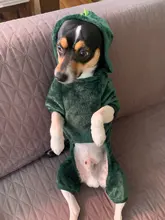 Perro de terciopelo Coral ropa de dibujos animados ropa para mascotas ropa venta al por mayor otoño y el invierno cálido cuatro patas-ropa para perros y gatos