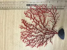 Decor-Plants Landscaping-Decor Tank Aquarium Plastic Resin Coral Fishing-Fis Sea-Iron-Tree