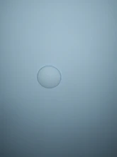 Stopper Sticker Bumper-Guard Wall-Protector Door-Handle Door-Stops Rubber Self-Adhesive