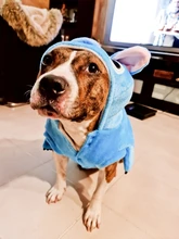 Jacket Hoodie Outfit Coat Animal-Costumes Pet Golden-Retriever Small Winter Large Medium