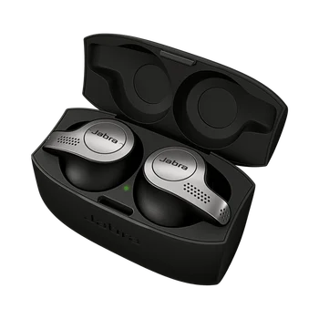 

True Wireless Earbuds Listen Music Hear Audio Call with Charging Case Black/Titanium Black