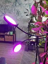 Grow-Light Lamps Timer Flowers Desktop-Clip LED Phyto Full-Spectrum For Plants DC5V USB