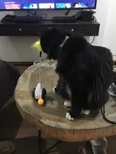 Vaso Swing juguetes para gatos gato interactivo equilibrio coche gato juguete de persecución con Catnip para mascotas productos para Dropshipping. Exclusivo.