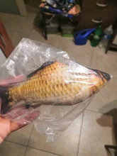 Pet Soft Plush Creative 3D Carp Fish Shape Cat Toy Gifts Catnip Fish Stuffed Pillow Doll